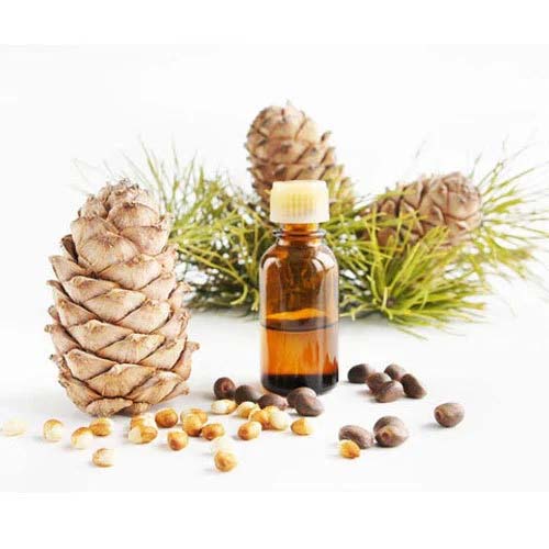 Cedarwood Himalayan Oil